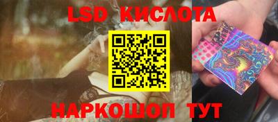 прущие грибы Северобайкальск