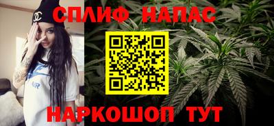 прущие грибы Северобайкальск