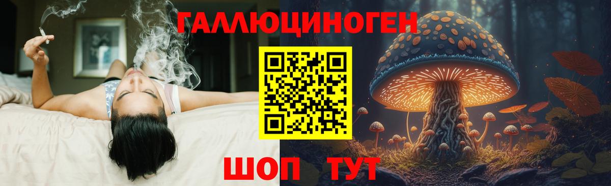 Родники  Псилоцибиновые грибы Psilocybine cubensis  Галлюциногенные грибы мицелий  наркотики  Вход с VPN 